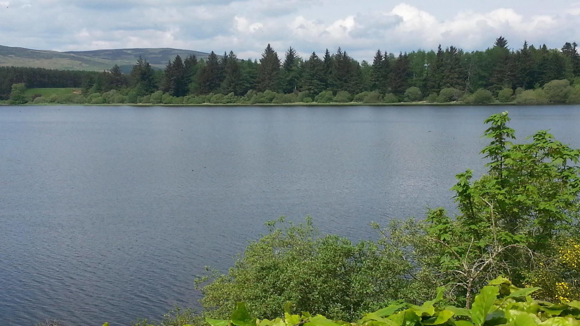 Lodge at Lochside Bridgend of Lintrathen Exteriör bild